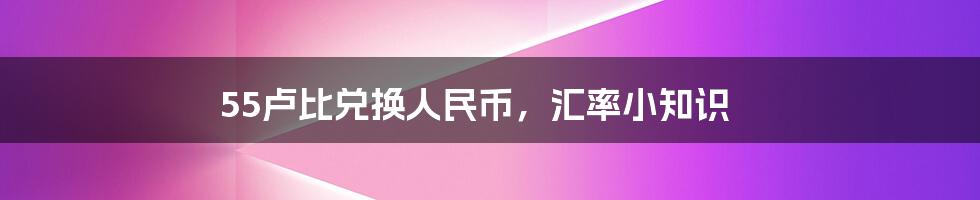 55卢比兑换人民币，汇率小知识