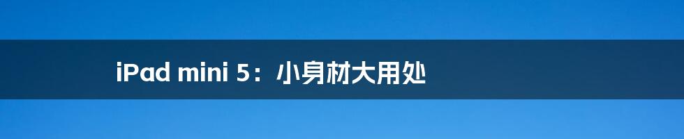 iPad mini 5:小身材大用处