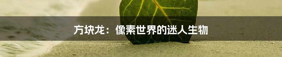 方块龙:像素世界的迷人生物