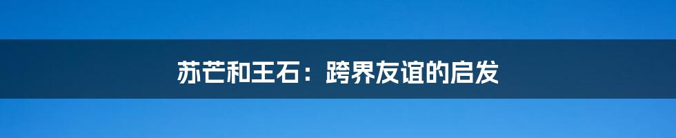 苏芒和王石：跨界友谊的启发