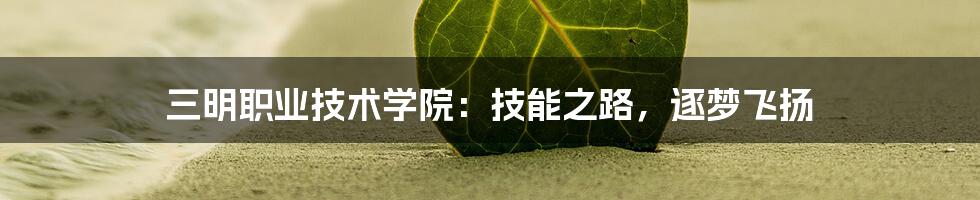 三明职业技术学院:技能之路,逐梦飞扬
