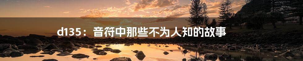 d135:音符中那些不为人知的故事
