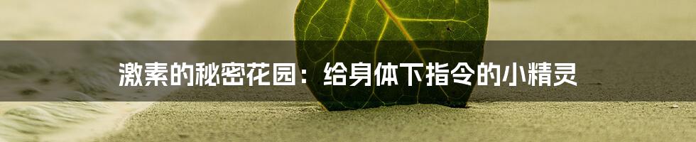 激素的秘密花园:给身体下指令的小精灵