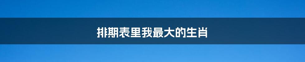 排期表里我最大的生肖