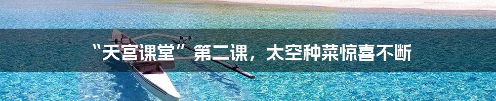 “天宫课堂”第二课,太空种菜惊喜不断
