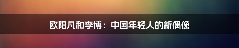 欧阳凡和李博：中国年轻人的新偶像
