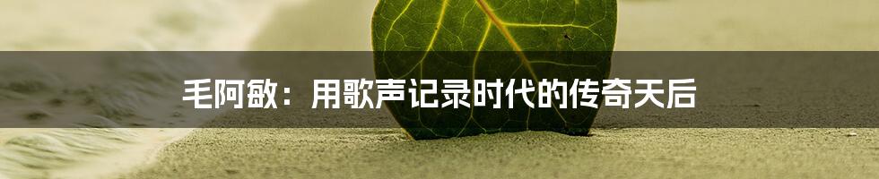 毛阿敏：用歌声记录时代的传奇天后