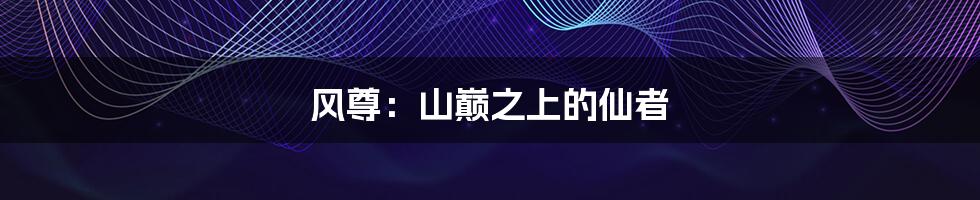 风尊:山巅之上的仙者