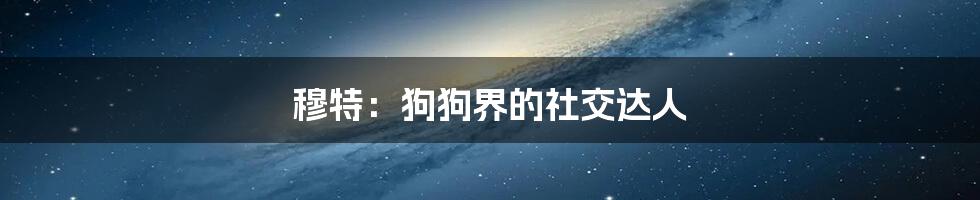 穆特:狗狗界的社交达人