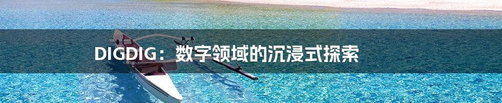 DIGDIG:数字领域的沉浸式探索