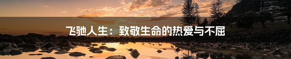 飞驰人生:致敬生命的热爱与不屈