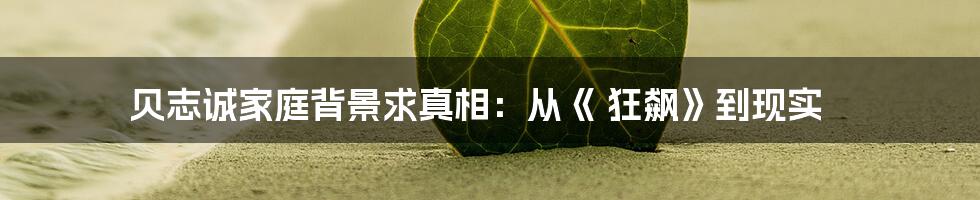 贝志诚家庭背景求真相：从《 狂飙》到现实