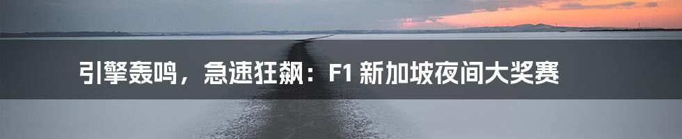 引擎轰鸣,急速狂飙:F1 新加坡夜间大奖赛