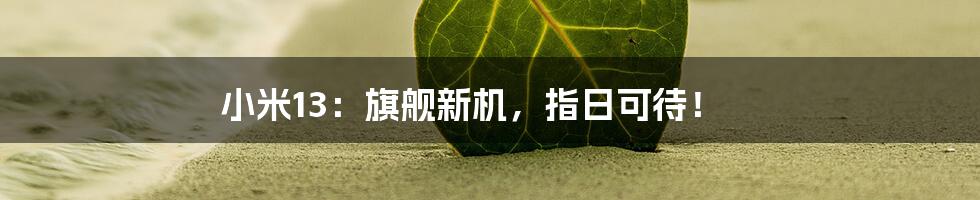 小米13:旗舰新机,指日可待!