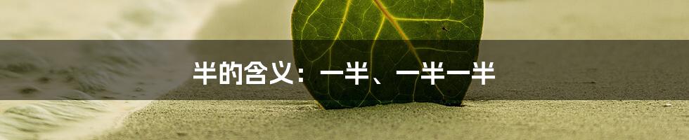 半的含义：一半、一半一半
