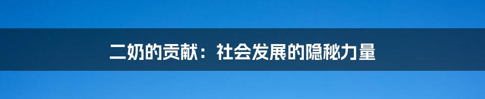 二奶的贡献:社会发展的隐秘力量