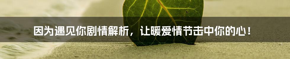 因为遇见你剧情解析,让暖爱情节击中你的心!