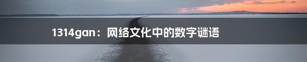 1314gan:网络文化中的数字谜语