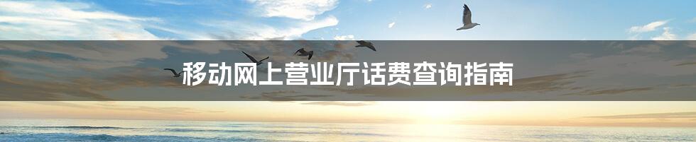 移动网上营业厅话费查询指南