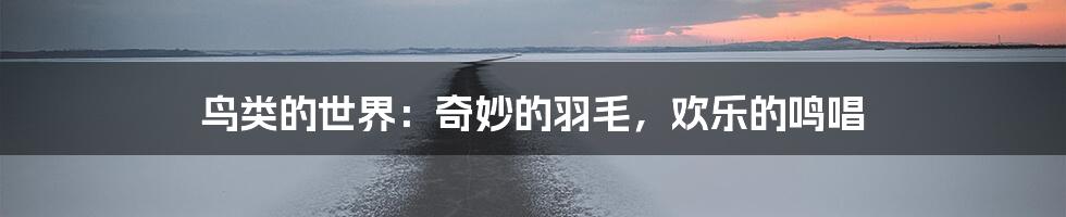 鸟类的世界:奇妙的羽毛,欢乐的鸣唱