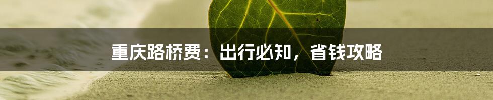 重庆路桥费：出行必知，省钱攻略
