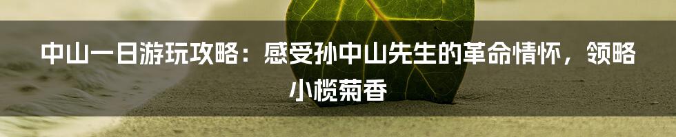 中山一日游玩攻略:感受孙中山先生的革命情怀,领略小榄菊香