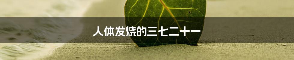 人体发烧的三七二十一