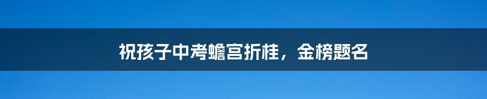 祝孩子中考蟾宫折桂,金榜题名
