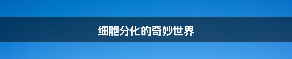 细胞分化的奇妙世界