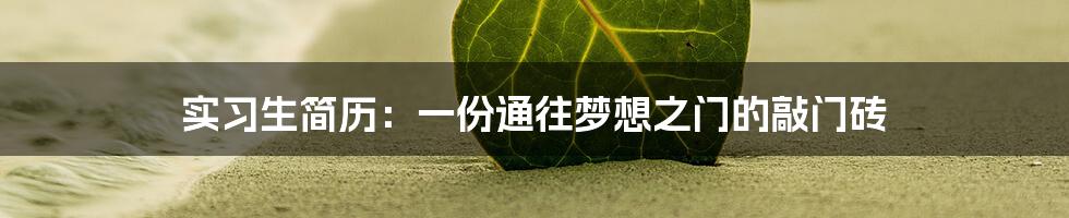 实习生简历:一份通往梦想之门的敲门砖
