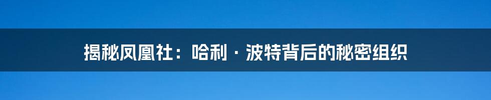 揭秘凤凰社：哈利·波特背后的秘密组织
