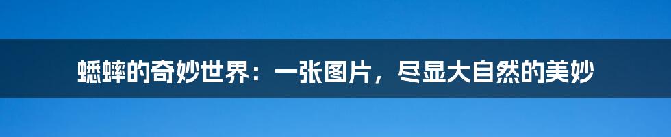 蟋蟀的奇妙世界：一张图片，尽显大自然的美妙