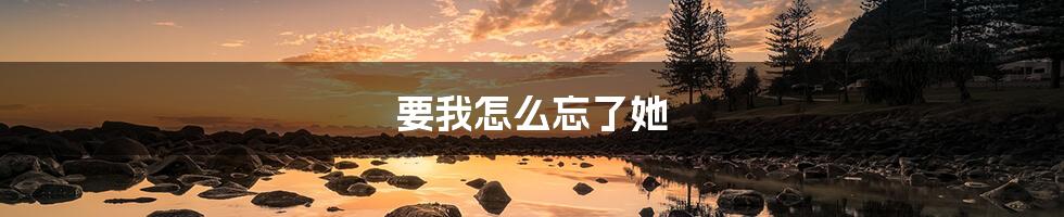 要我怎么忘了她