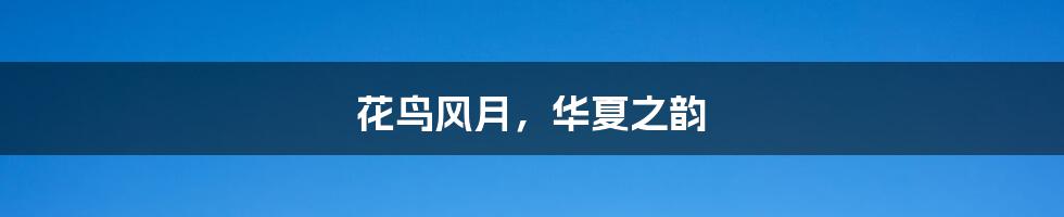花鸟风月,华夏之韵