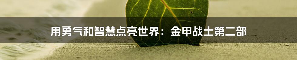 用勇气和智慧点亮世界:金甲战士第二部