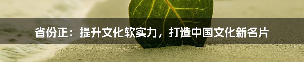 省份正:提升文化软实力,打造中国文化新名片