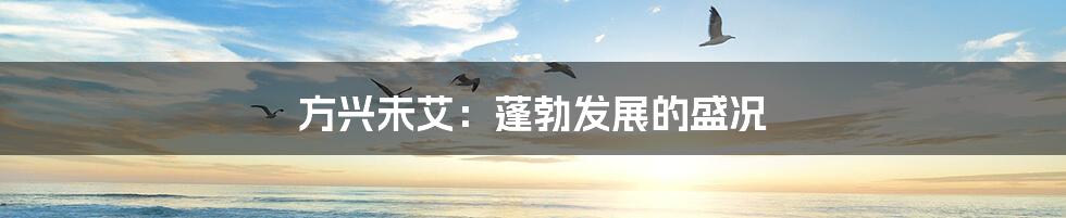 方兴未艾:蓬勃发展的盛况