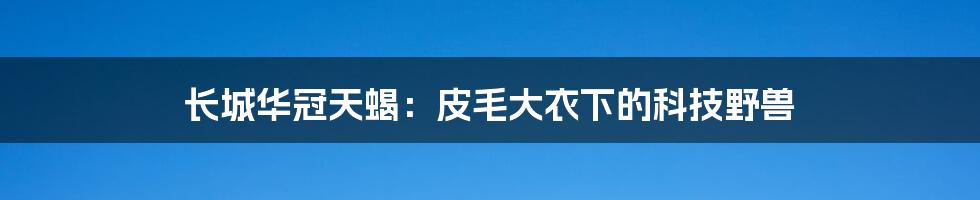 长城华冠天蝎:皮毛大衣下的科技野兽