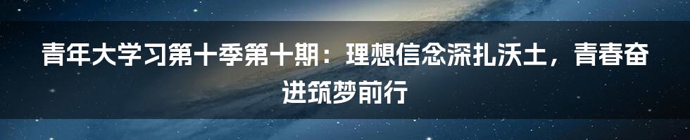 青年大学习第十季第十期:理想信念深扎沃土,青春奋进筑梦前行