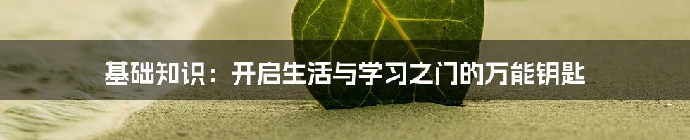 基础知识:开启生活与学习之门的万能钥匙