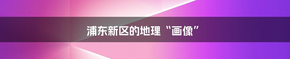 浦东新区的地理“画像”
