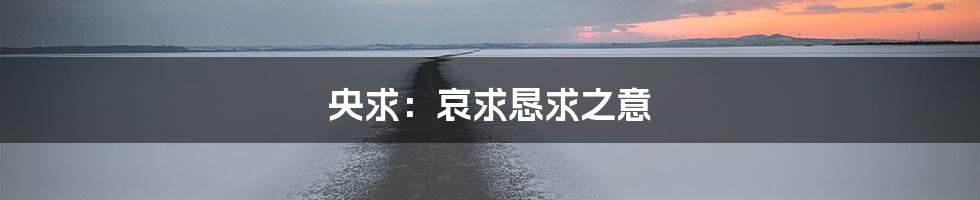 央求:哀求恳求之意