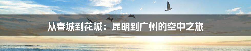 从春城到花城：昆明到广州的空中之旅