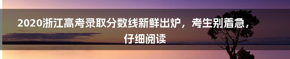 2020浙江高考录取分数线新鲜出炉,考生别着急,仔细阅读