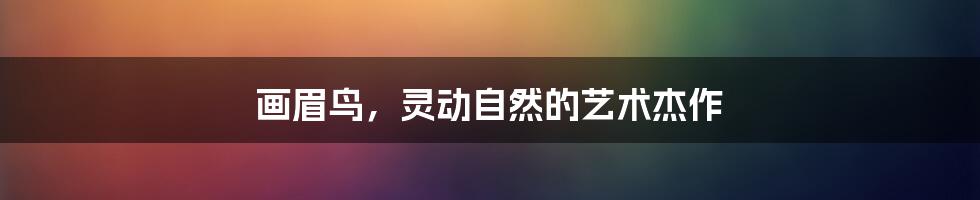画眉鸟，灵动自然的艺术杰作