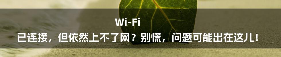 Wi-Fi 已连接,但依然上不了网?别慌,问题可能出在这儿!