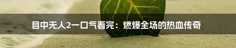目中无人2一口气看完:燃爆全场的热血传奇