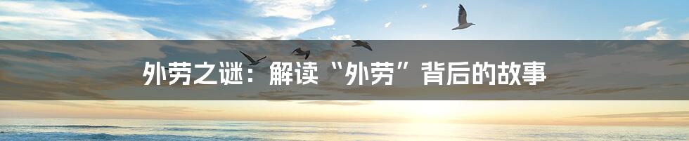 外劳之谜:解读“外劳”背后的故事