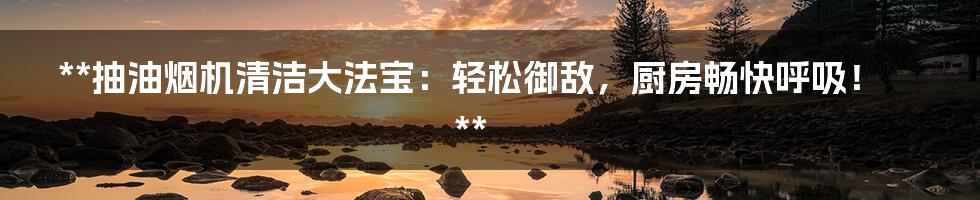 **抽油烟机清洁大法宝:轻松御敌,厨房畅快呼吸!**