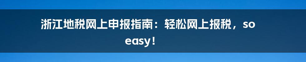 浙江地税网上申报指南:轻松网上报税,so easy!